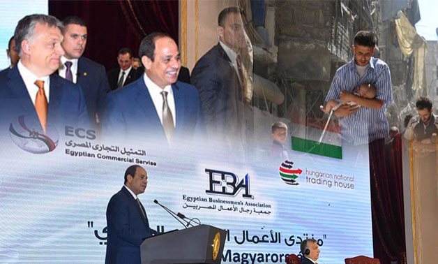 رئيس وزراء المجر للمصريين: "بصوا لسوريا"