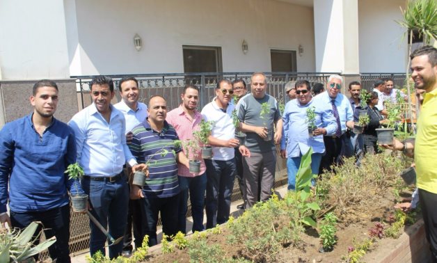 بالصور.. النائب حاتم باشات يشارك فى مبادرة "إزرع شجرة" بدائرة الأميرية والزيتون  