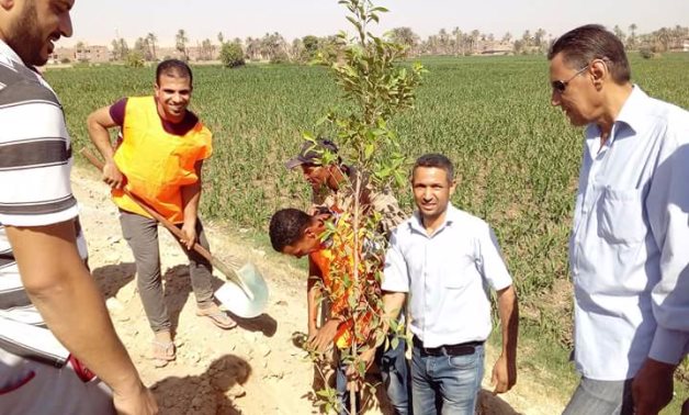 بالصور.. شباب يغرسون شتلات أشجار بقرية الغريزات لتجميلها فى سوهاج 