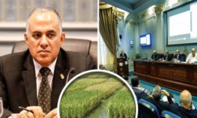 غرامات الأرز تثير جدلا بـ"زراعة البرلمان"