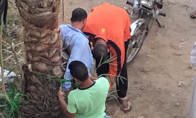بالصور.. مواطنون يضبطون "لص عشش" برأس البر ويوثقونه فى نخلة قبل تسليمه للشرطة