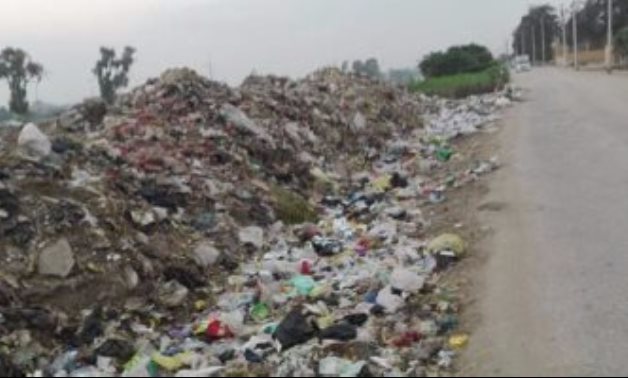 صحافة المواطن.. القمامة والحيوانات الضالة تحاصر مدرسة بالقليوبية