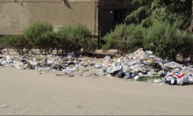 بالصور.. شكوى من انتشار الكلاب الضالة والقمامة بزهراء مدينة نصر