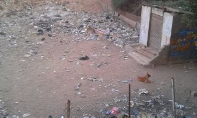 صحافة الدائرة.. الكلاب الضالة والقمامة تهدد أهالى منطقة إسبيكو بمدينة السلام