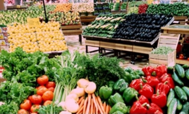  5 محاور لزيادة صادرات المنتجات الزراعية