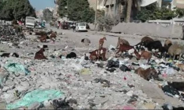 صور.. اضبط مخالفة.. الأغنام والقمامة تحاصر مدرسة السيدة عائشة بشبرا الخيمة