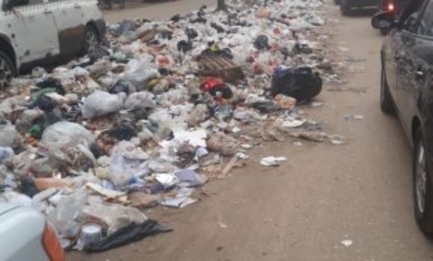 صور.. قارئ يشكو انتشار القمامة والكلاب الضالة بنهاية شارع فيصل