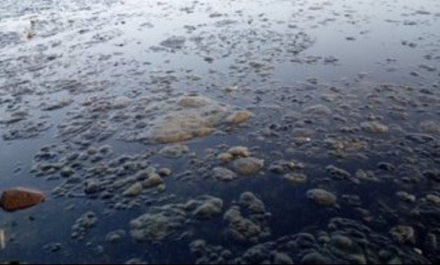 كارثة صحية فى البحيرة بسبب تلوث مياه النيل..والأهالى يطالب بتوقيع غرامات على المخالفين