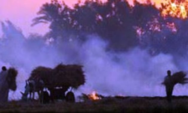 صور.. الإسماعيلية تعلن الحرب على حرق قش الأرز.. مزارعون: "عاوزين نستفيد منه"