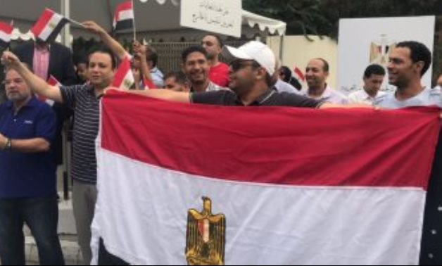 دواوين الوزارات × 24ساعة.. فيديو يوثق احتفالات المصريين بالانتخابات حول العالم