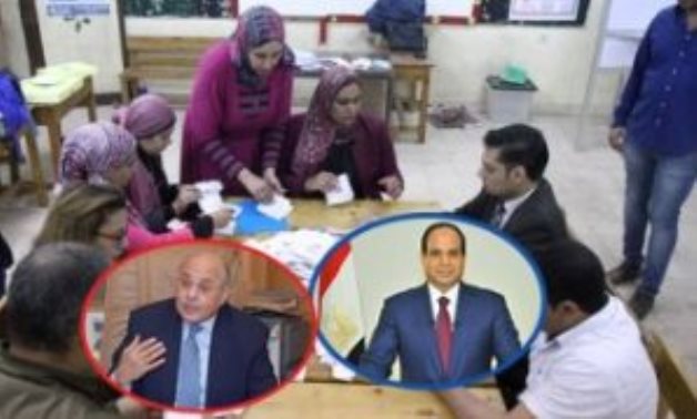 شهادات الأشقاء العرب عن انتخابات الرئاسة