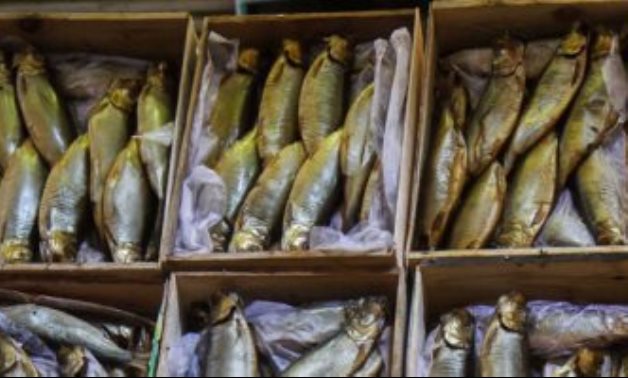 ضبط 5 أطنان أسماك منتهية الصلاحية بمصنع بالخانكة