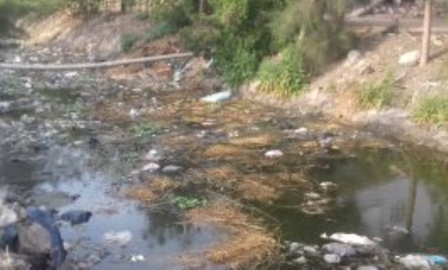 فيديو وصور.. مياه الصرف تتلف المحاصيل لزيادة ملوحتها بأراضى كفر الشيخ