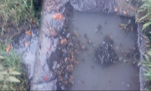 مياه الصرف تغرق شوارع بلقس فى قليوب والأهالى يطالبون بصيانة الشبكة