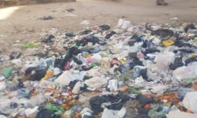 صور.. انتشار القمامة فى شوارع أبو كبير بالشرقية.. وقارىء يطالب بتوفير صناديق