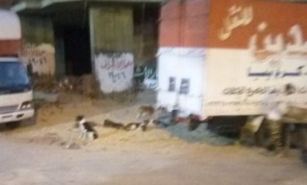 صحافة المواطن.. شكوى من انتشار الكلاب الضالة بميدان عبده باشا بالعباسية