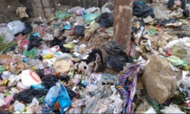 صحافة الدائرة.. شكوى من انتشار القمامة فى شارع مسجد الرحمة بالوراق