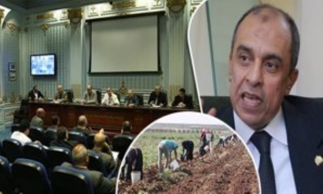 وزير الزراعة بالبرلمان: أرض مصر أغلى حاجة فيها