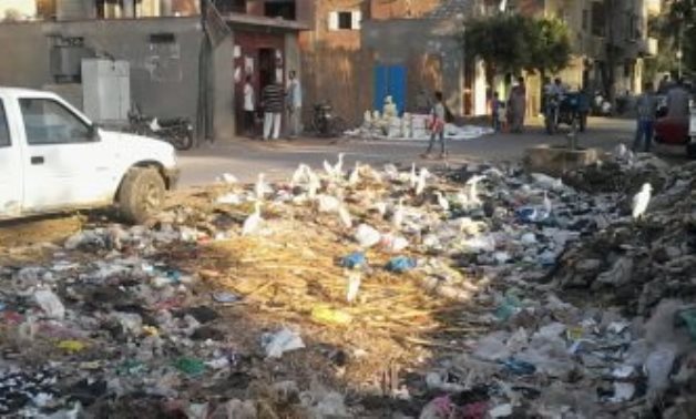 صور.. اضبط مخالفة.. قرية كفر عسكر بالغربية تعانى من الإهمال وانتشار القمامة