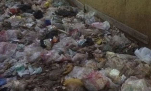 شكوى من انتشار القمامة والكلاب بشارع كعبيش بمنطقة الطوابق