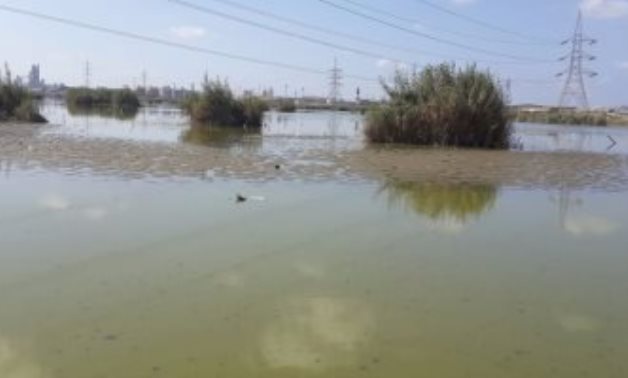 خبير فى الموارد المائية يطالب بتحويل بحيرة مريوط بالإسكندرية إلى محمية طبيعية