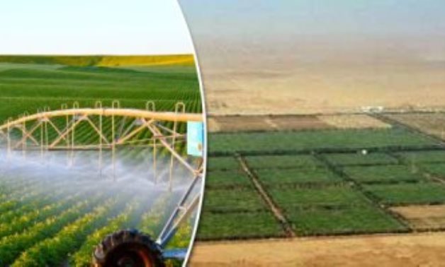 النائب أحمد صبور: إضافة 3.5 مليون فدان للرقعة الزراعية مشروع عملاق لتحقيق الأمن الغذائى