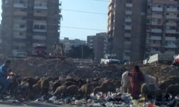 صور.. قارئة ترصد انتشار المخلفات والقمامة بشوارع مدينة نصر