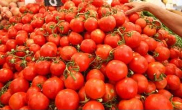 "الزراعة" تعلن استيراد 50 طن طماطم من الأردن.. و5 جنيهات للكيلو بالأسواق