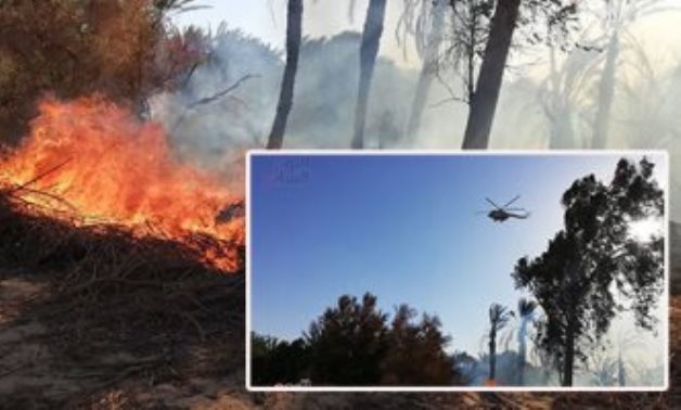 "محلية البرلمان" تطالب بتعويض عادل للمتضررين من حريق الراشدة بالوادى الجديد
