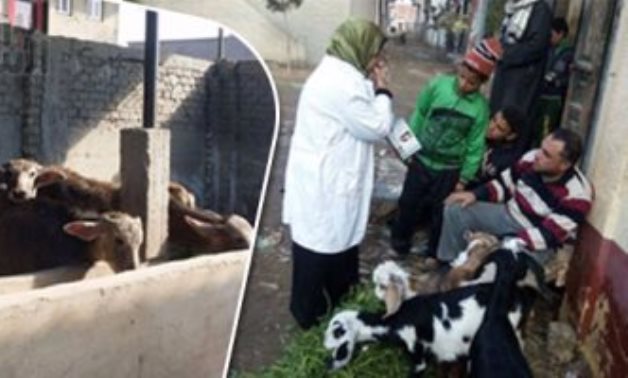 حملات للتوعية بمخاطر الحمى القلاعية ببورسعيد حفاظا على الثروة الحيوانية