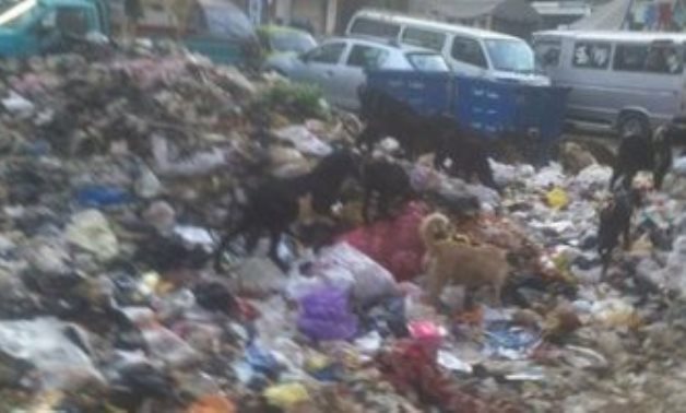 قارىء يشكو انتشار القمامة بأحد شوارع شبرا الخيمة.. صور
