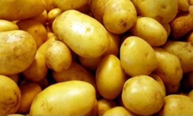 "الزراعة" تعلن إلغاء قرار 669 لتخزين البطاطس 