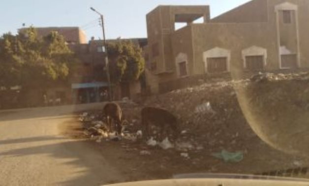 شكوى من محاصرة القمامة لمجمع مدارس أولاد نصير فى سوهاج
