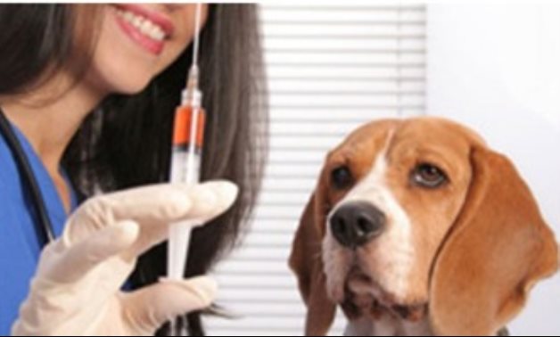 الصحة: توفير مصل الكلب بوحدات الرعاية الأساسية بالجمهورية مجانا