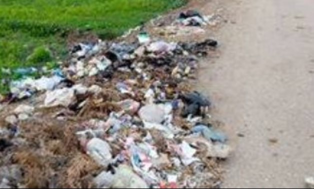 قارىء يشكو انتشار القمامة فى مدخل قرية مركز الحسينية بالشرقية