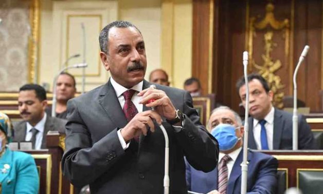 إيهاب الطماوى: تغليظ عقوبات قانون الزراعة بهدف حماية الرقعة الزراعية فى مصر