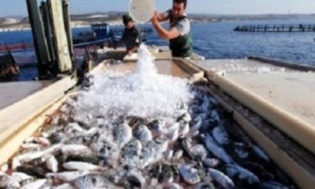 القانون يحظر على المراكب الأجنبية الصيد بالمياه الإقليمية
