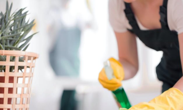 العمالة المنزلية.. 5 معلومات لازم تعرفها عن مشروع القانون الجديد