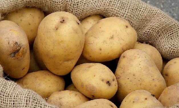 نائب يطالب "الزراعة" بضبط الأسواق بسبب ارتفاع أسعار تقاوى البطاطس