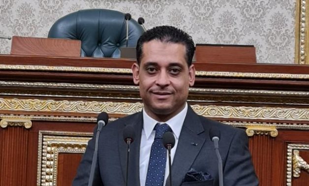 برلماني: مصر حققت نجاحات في مجال الطاقة وخطواتها المتواصلة للربط الكهربائي