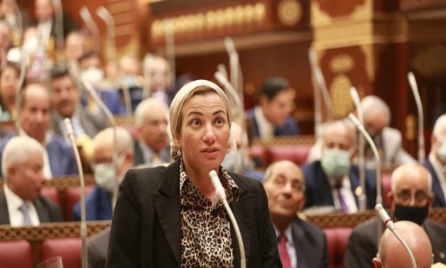 وزير البيئة أمام "الشيوخ" عن ظاهرة تغير المناخ: سيناريوهان لغرق الإسكندرية