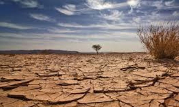دراسة حديثة ترصد تضرر القارة الأفريقية من أزمات تغير المناخ في العالم؟