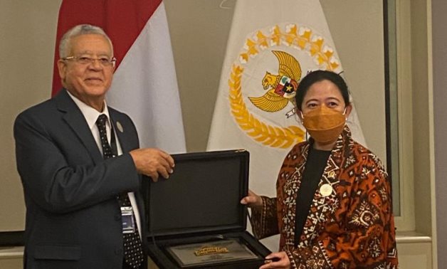 رئيس النواب يستعرض مع نظيرته الإندونيسية جهود مصر فى نشر الإسلام الوسطى