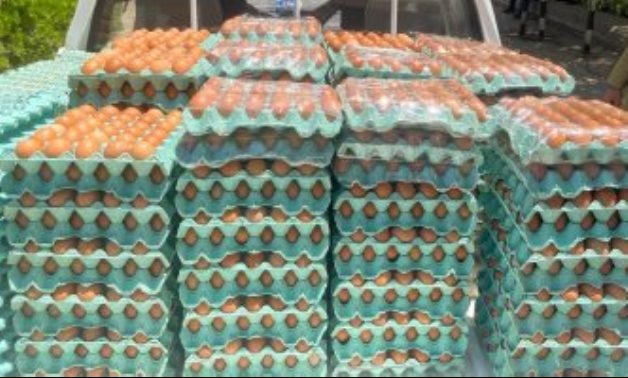 ‫وزير الزراعة: 100 مليار جنيه استثمارات صناعة الدواجن وضخ 35 مليون بيضة يوميا
