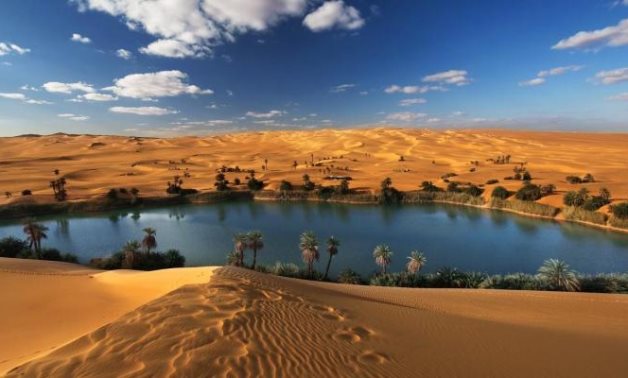 تطبيق إلكتروني عن "السياحة العلاجية" في مصر.. تعرف على مقترح النائبة رشا إسحق