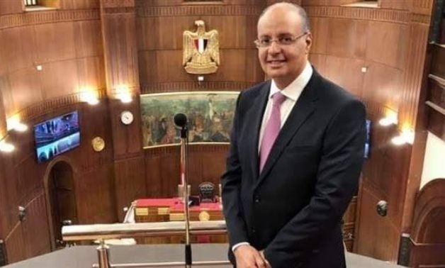 جلال أبو الدهب: نجاح قمة المناخ أكد قوة وريادة مصر في عهد الرئيس السيسي