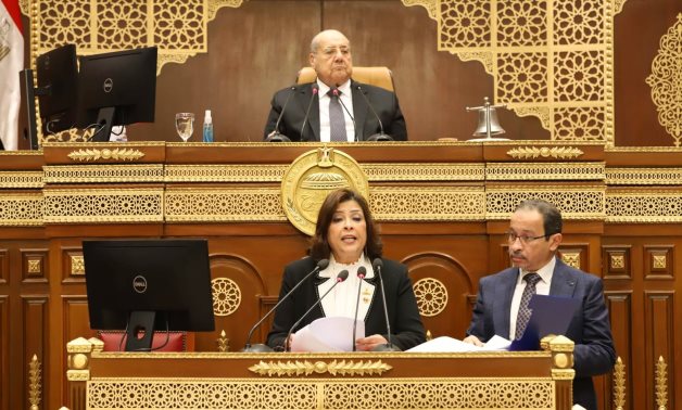 مجلس الشيوخ يوافق من حيث المبدأ على مشروع قانون صندوق مصر الرقمية