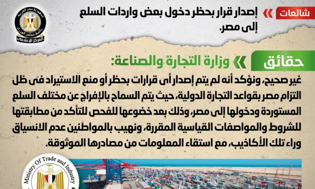 الحكومة تنفى إصدار قرار بحظر دخول بعض واردات السلع إلى مصر