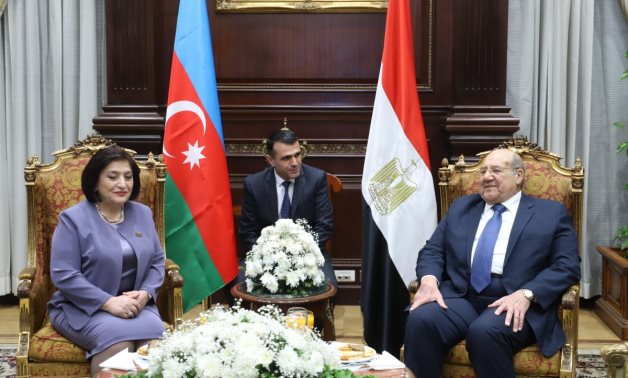رئيس مجلس الشيوخ يستقبل رئيسة المجلس الوطني لجمهورية اذربيحان 