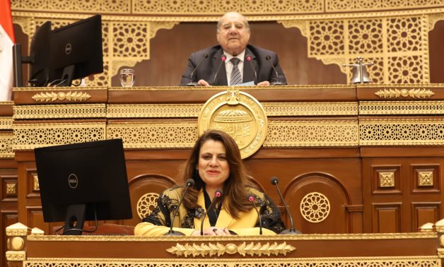 وزير الهجرة: نتواصل 24 ساعة مع الجاليات المصرية فى الخارج حتى أيام الإجازات